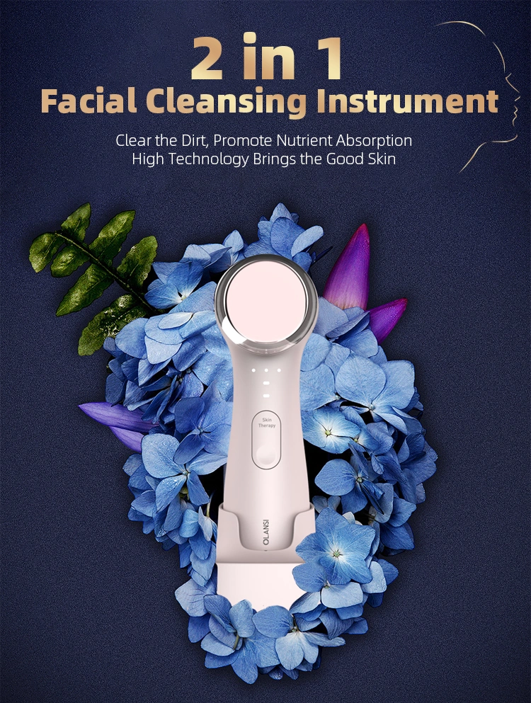 2 in 1 Facial Electric Cleaning and Moisturizing Beauty Device