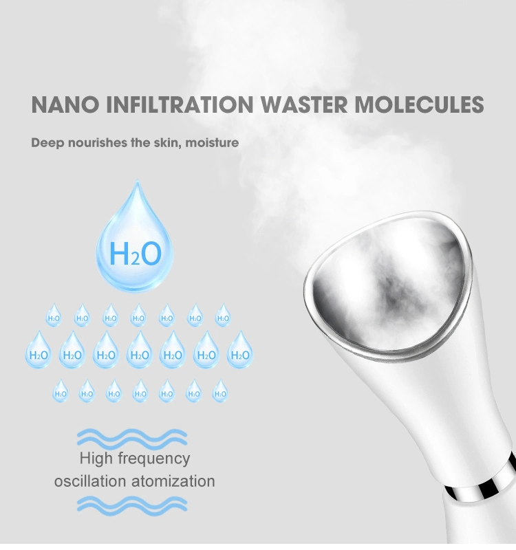 Professional Humidifier Face Nano Mist Sprayer Ionic Facial Steamer