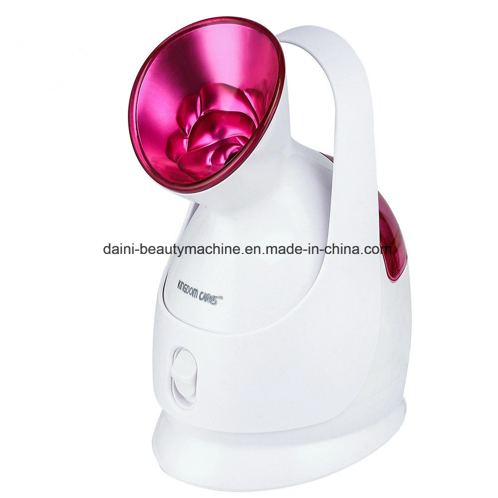 Warm Nano Mist Facial Steamer Skin Moisture Facial Sauna Machine Ionic Facial Steamer